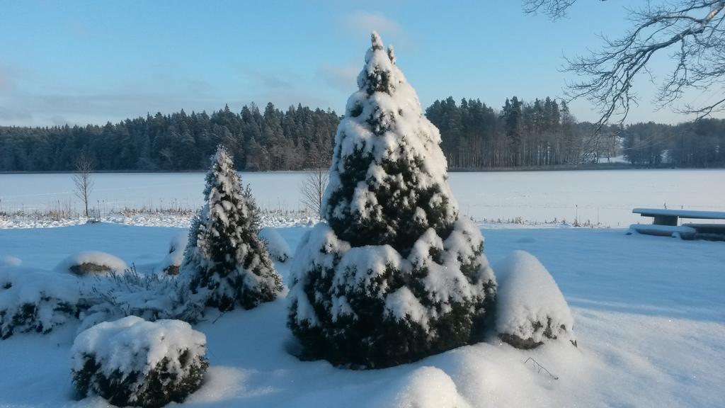 Ezerkalni Villa Raiskums Bagian luar foto